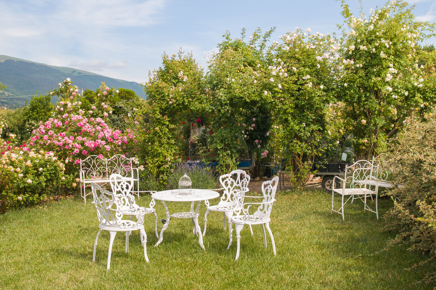 Mobilier grădină